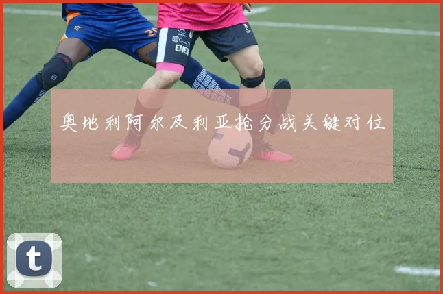 奥地利阿尔及利亚抢分战关键对位