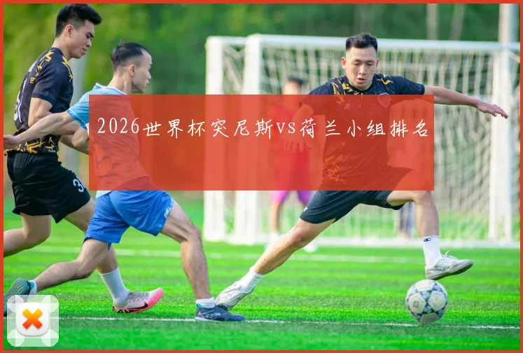 2026世界杯突尼斯vs荷兰小组排名
