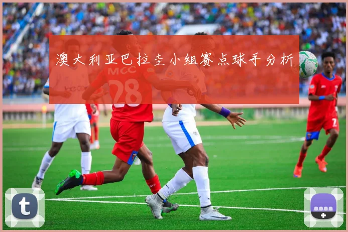 澳大利亚巴拉圭小组赛点球手分析