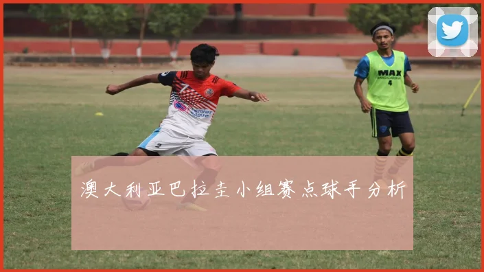澳大利亚巴拉圭小组赛点球手分析