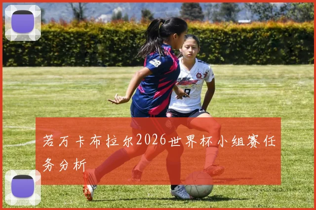 若万卡布拉尔2026世界杯小组赛任务分析